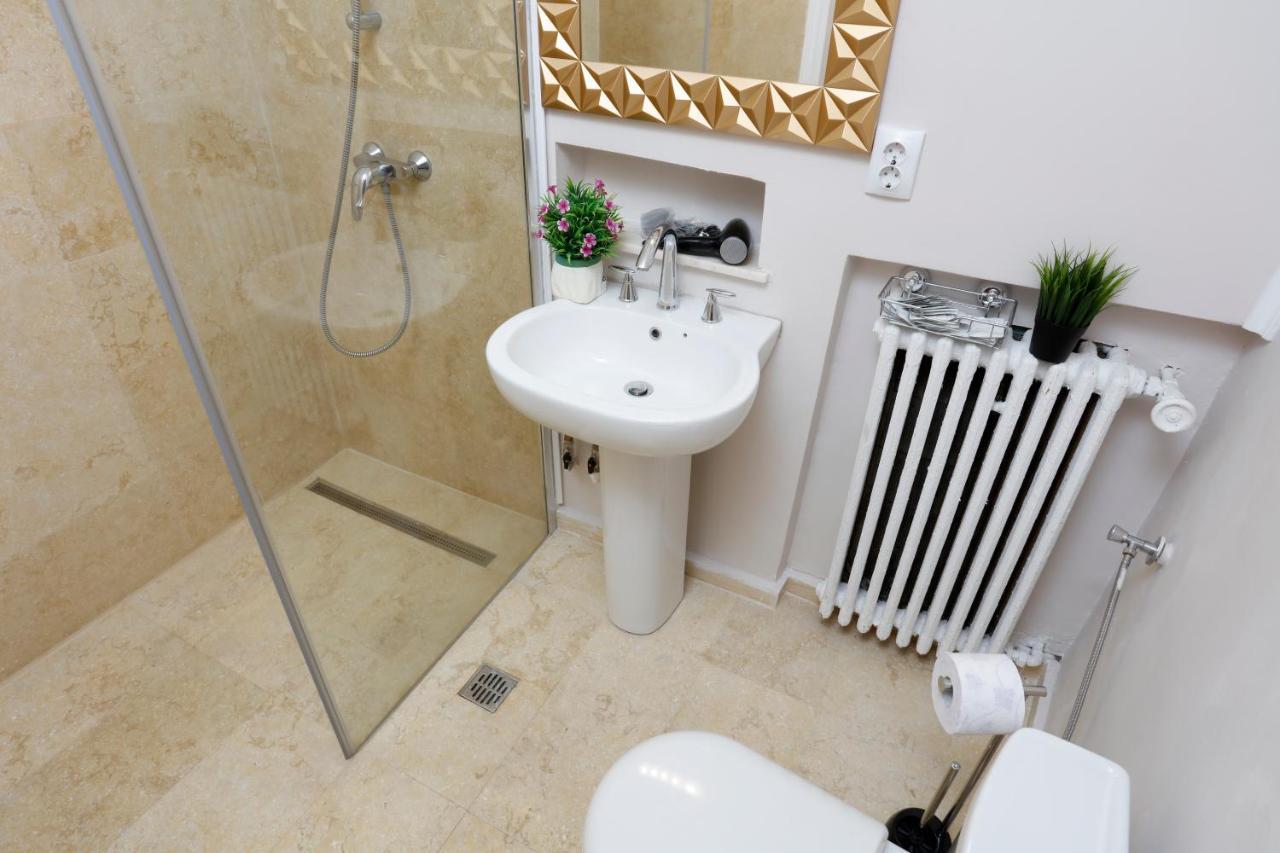 Appartement Grand Phillip Cismigiu Park Downtown Bucarest Extérieur photo
